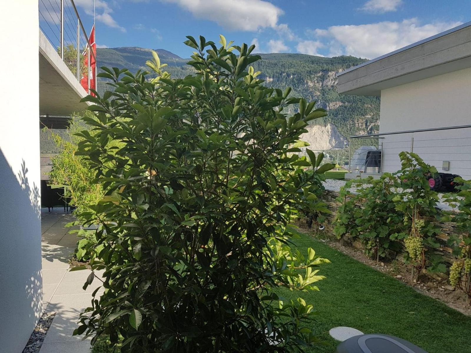 Guesthouse Petit Pre Saint-Leonard Номер фото